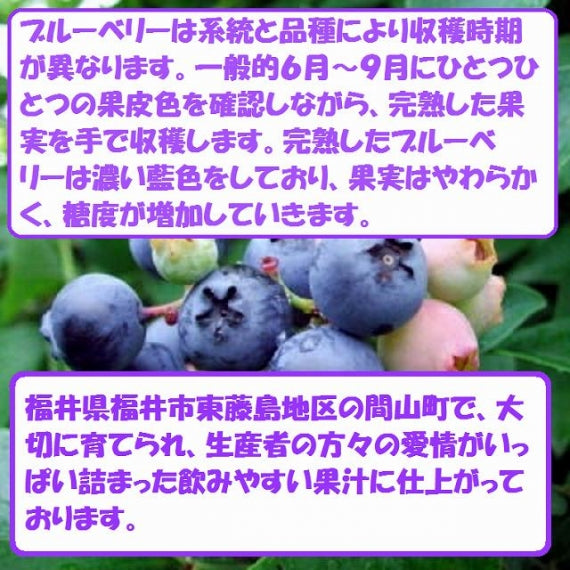 「福井県産」ブルーベリージュース180 mL×５本入り箱