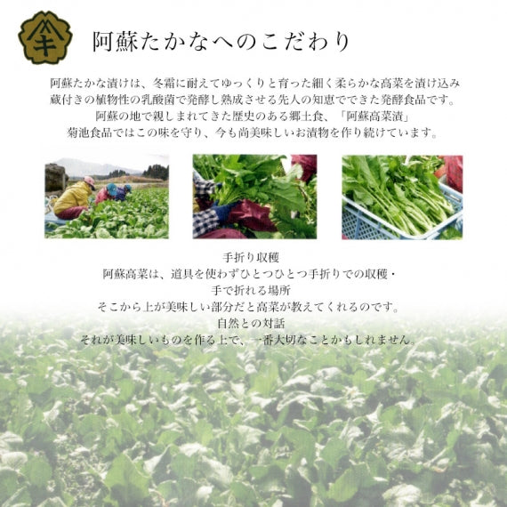 阿蘇 高菜 たっぷり 茶漬け（7袋）菊池食品  送料無料【乾物・缶詰・瓶詰・調味料】