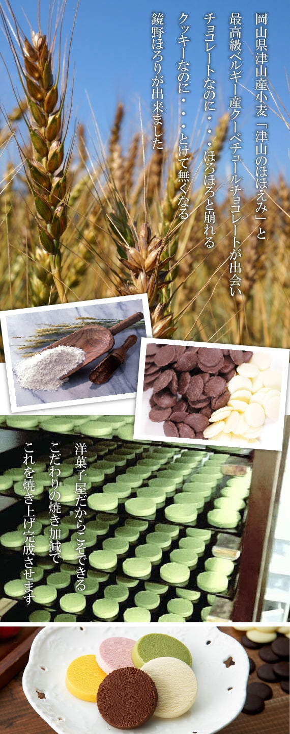 【送料無料】おもてなしセレクション2022年度金賞受賞！とろけるショコラクッキー鏡野ほろり（30枚入）