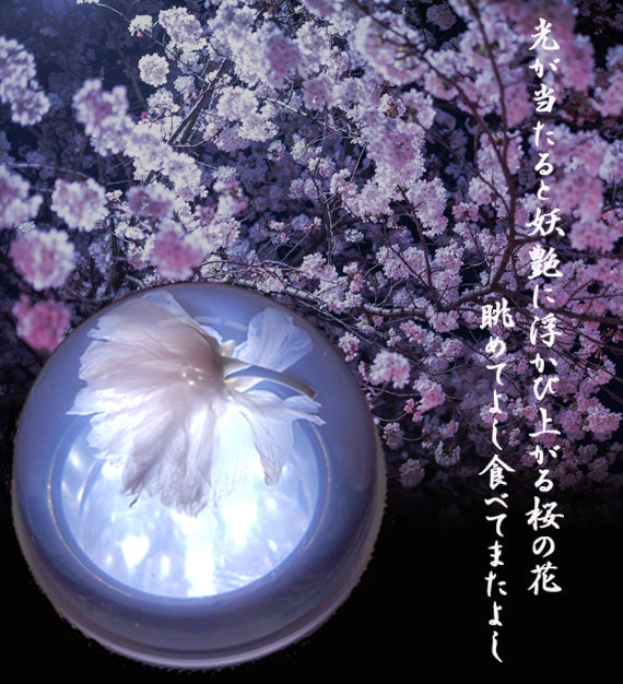 桜の香りの「甲州ゼリー 桜」6個入り（化粧箱）
