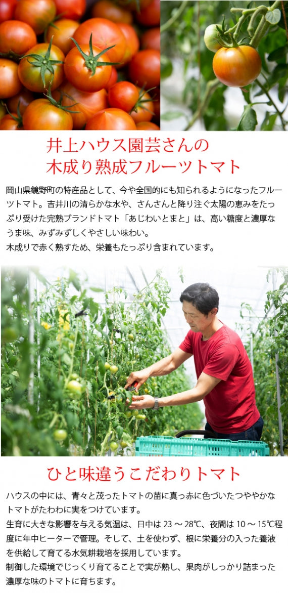 送料無料まずはお試し！岡山県産果実100％とろけるような濃質食感 清水白桃・ピオーネ・フルーツトマトジュレ3個入【お試し】