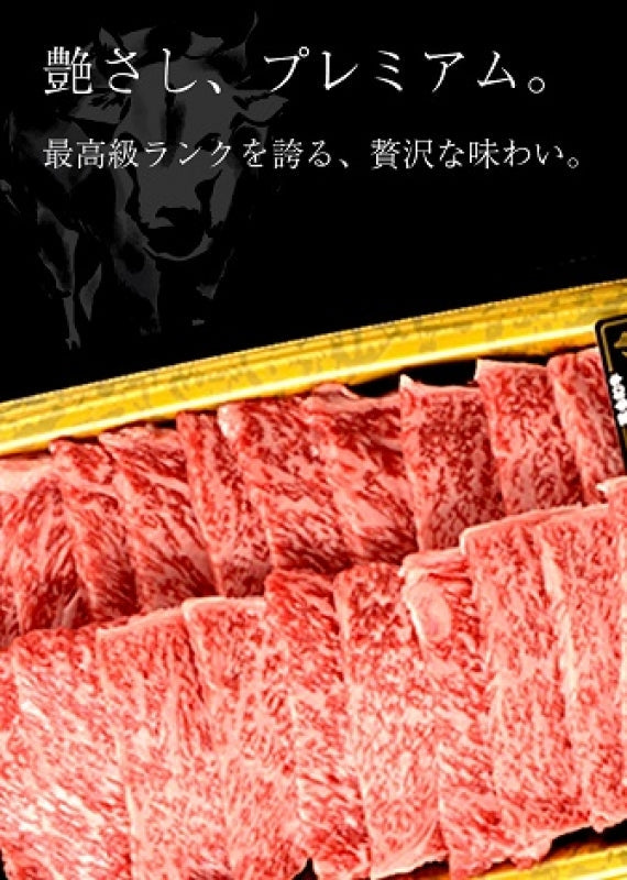 【冷凍】【送料無料】牛肉 A5等級 佐賀牛 黒毛和牛  ロース400g