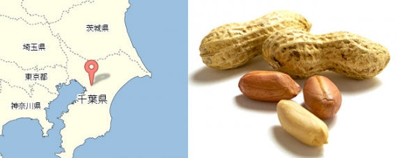 新種Ｑナッツ登場! キューナッツはPeanutを超えるQ-nutな味・千葉県八街産殻付き落花生 Qナッツ（200g）×2袋【Ｑなっつ種】【スイーツ・洋菓子・和菓子】