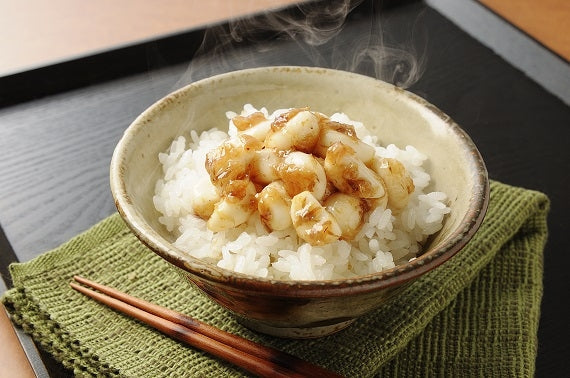 【勝喜梅】南高梅はちみつ仕立て＆ごはんの友セット（梅にんにく+おかかしょうが）