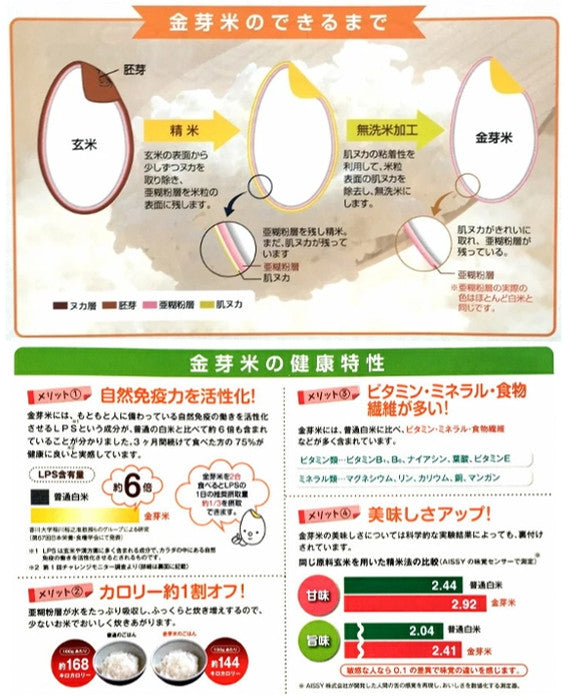 島根県産金芽米きぬむすめ 5kg（令和5年産）
