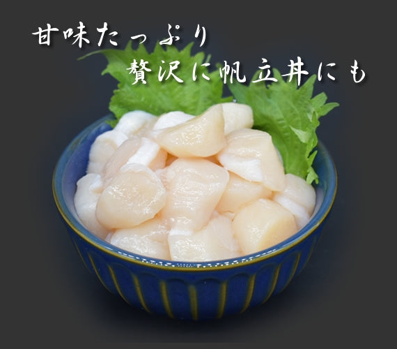 【道産・送料無料】お刺身 ほたて貝柱500g ＆ あわび2個入 セット（ホタテ：3S前後・20～45玉前後・250ｇ×2パック　アワビ：2個(約70g×2））　お刺身 帆立 ホタテ あわび アワビ 鮑 刺身 北海道 道産 利尻礼文産 数量限定・無添加