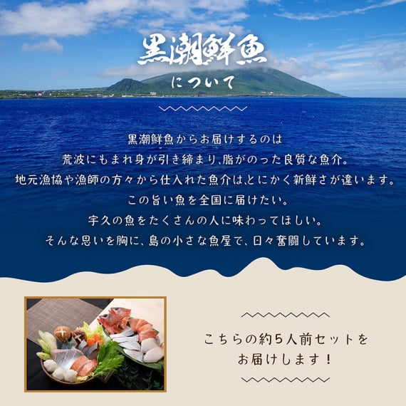 五島近海で獲れた魚をお鍋で美味しく！【五島列島天然魚 海鮮鍋セット】