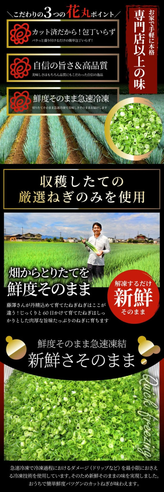 カットねぎ 500g ねぎ ネギ 藤澤さん家のカットねぎ 葱 冷凍 とれたてネギ 香川県産 冷凍野菜 時短 料理 簡単調理 包丁いらず