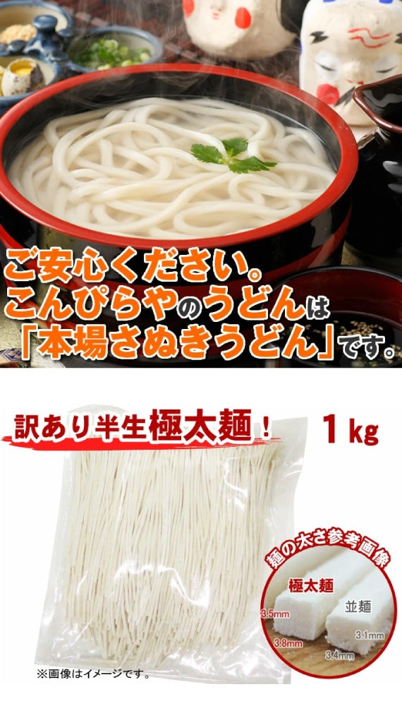 【お試し】1000円ポッキリ 送料無料 極太麺バージョン！【訳あり】半生極太讃岐うどん1000g 規格外ですが味は本場さぬきうどん！ご家庭用にいかがですか？しかも送料無料 訳あり 食品 うどん ポスト投函便での配送(代金引換-後払い不可・着日指定不可)【半生麺】【太麺】