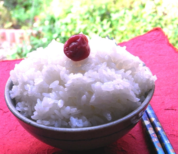 【47で人気】昔ながらの小梅ぼし　（しそ）　1kg