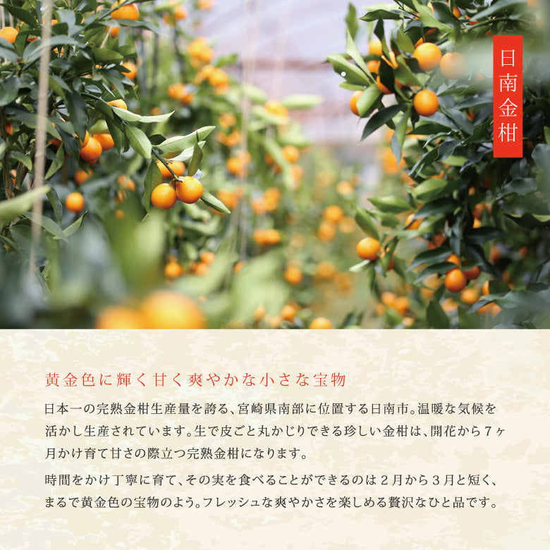 日南完熟金柑もなか　運つつみ（7個入）《鵜戸神宮の御神水入りの金柑餡を詰めた一口最中の縁起菓子》