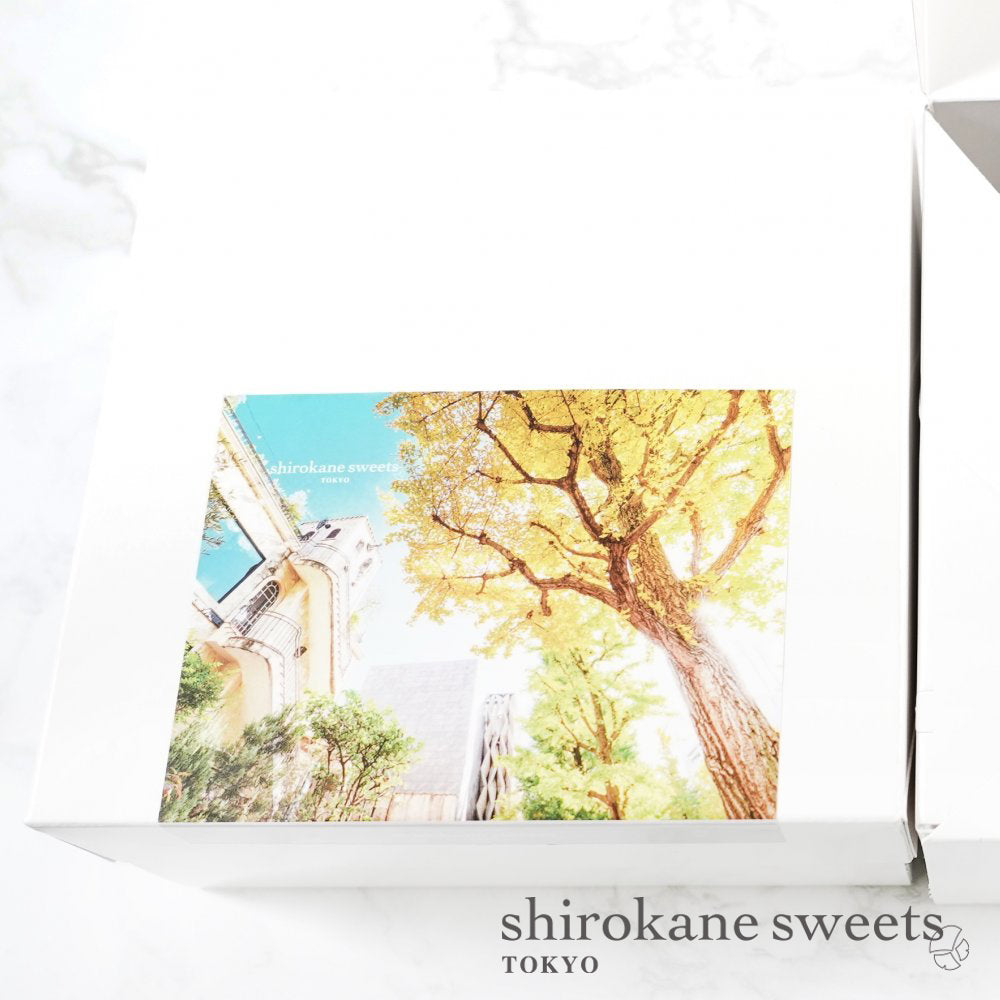 shirokane sweet　TOKYO　白金マフィン（オレンジショコラ）