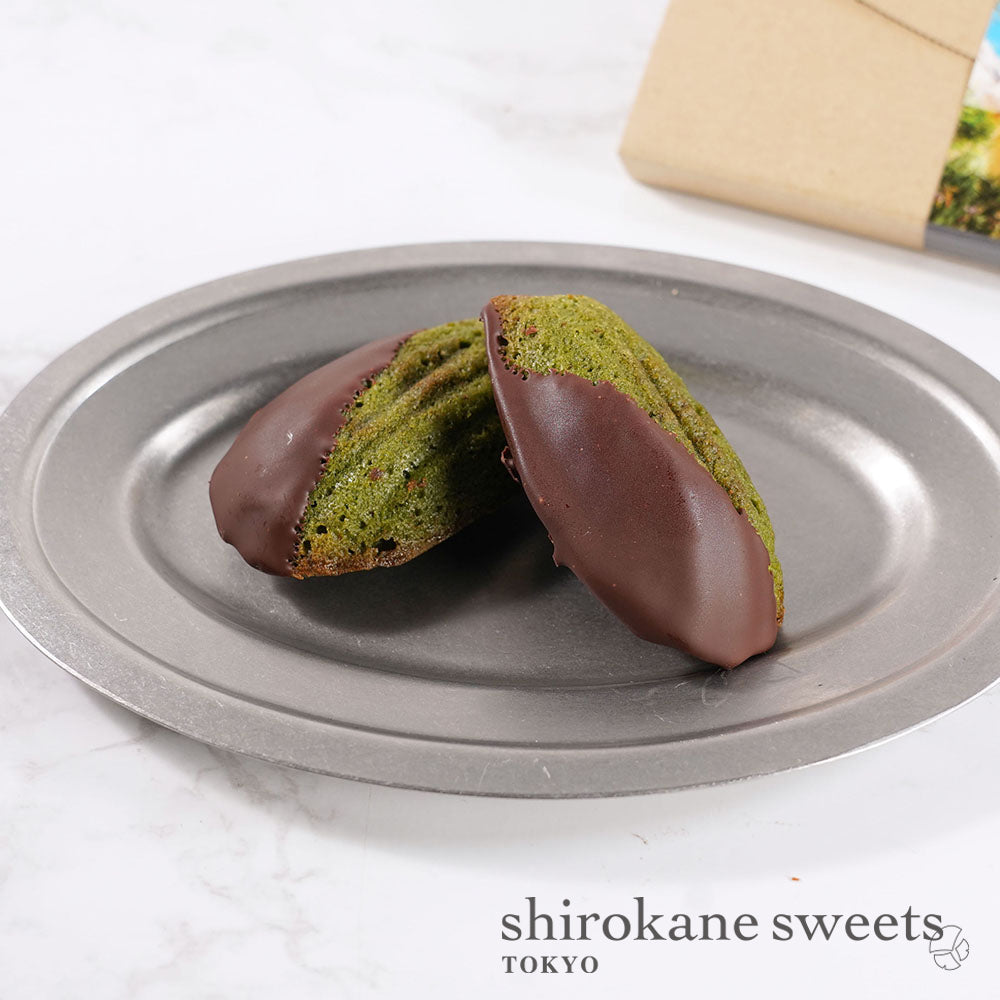 「送料無料・ポスト投函」shirokane sweets TOKYO 白金ショコラマドレーヌ（抹茶）　4個入