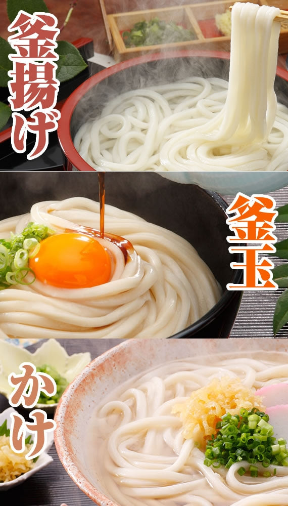 【24人前つゆ付】半生麺　本場さぬきうどん麺通セット「讃岐麺維新」240g×12袋【送料無料】