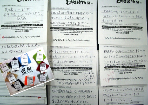 野沢菜づくしA）【送料無料】【米・野菜・惣菜】