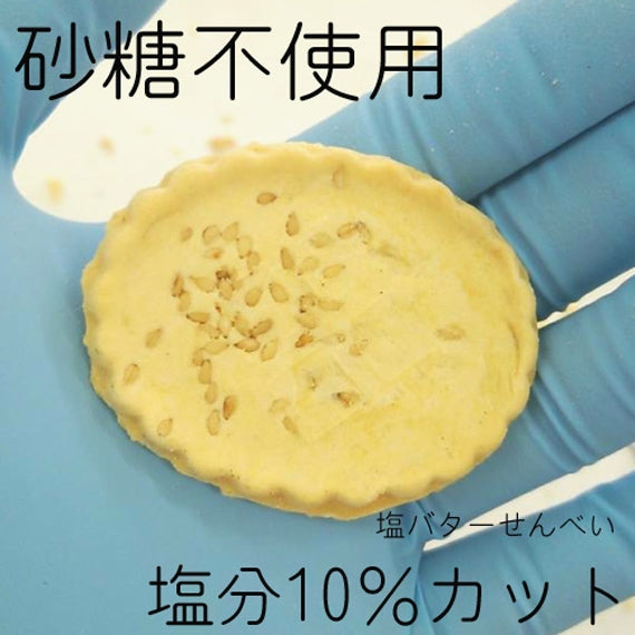 戦国武将小判 １０枚セット （ 塩バター煎餅 プリント せんべい ） 織田信長 豊臣秀吉 徳川家康 武田信玄 上杉謙信 直江兼続 伊達正宗 本多忠勝 島津義弘 真田幸村 津軽為信 送料込 侍 武将グッズ 印刷 サプライズ 駄菓子 小ロット お菓子 どうする家康