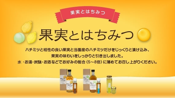 果実とはちみつ「梅とはちみつ」 ミニ（100ml）
