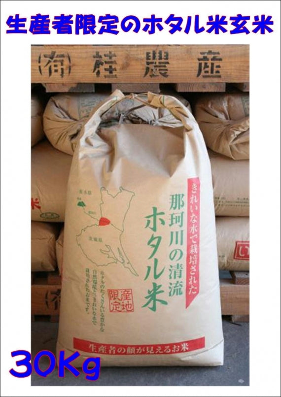 ホタル米コシヒカリ　玄米　30キロ　精米・無洗米処理も無料承り　
