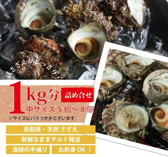 【天然の活けサザエ】漁師が素潜りで獲った本物のさざえ　約1kg（約5~8個）