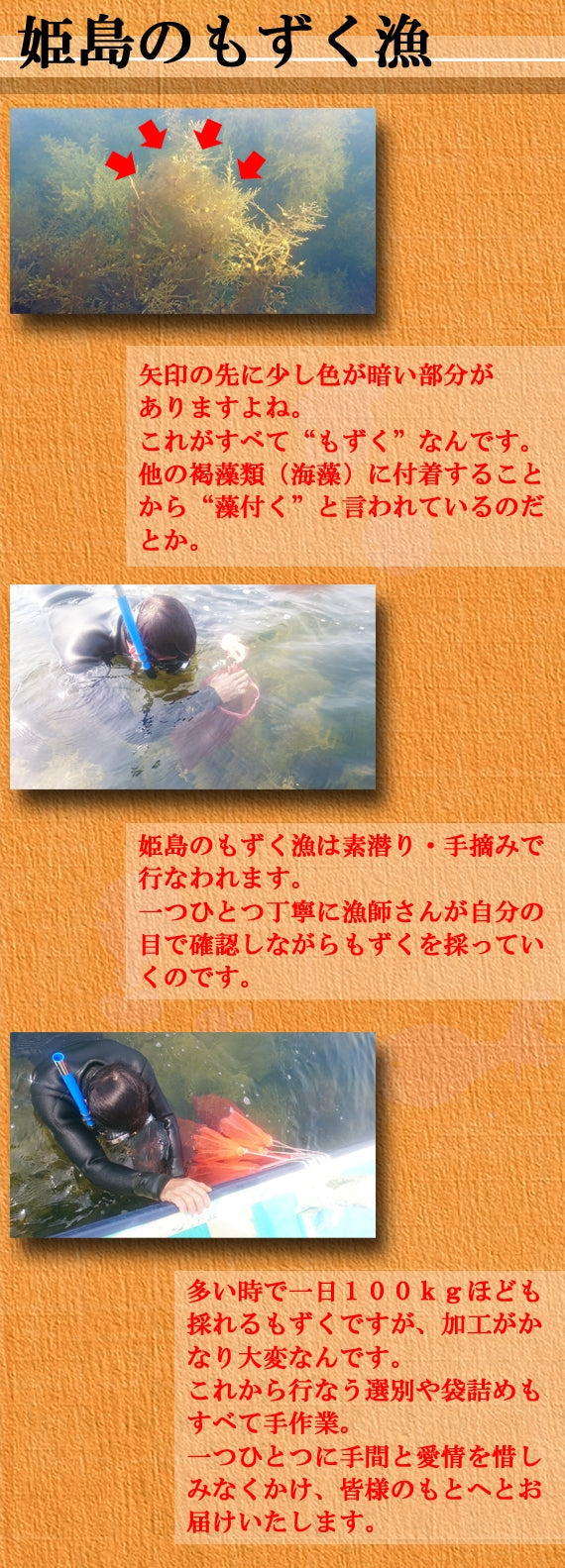 【送料無料】姫島産 "天然" 絹もずく 60g×5個セット