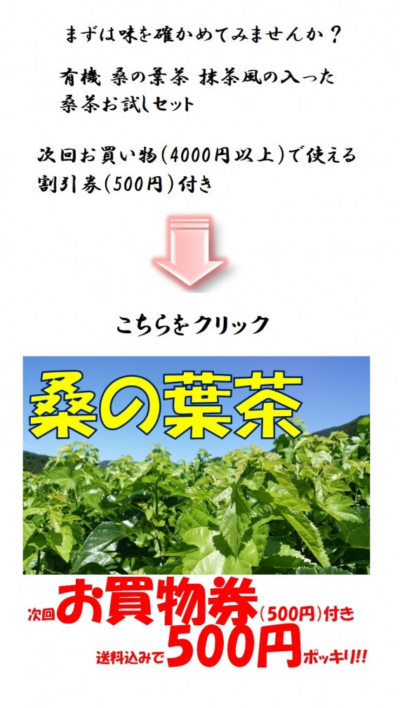 【有機桑の葉茶 抹茶風 ギフトセット　50g×3袋】健康を気遣う方へオススメ。飲みやすいパウダータイプの桑茶です。