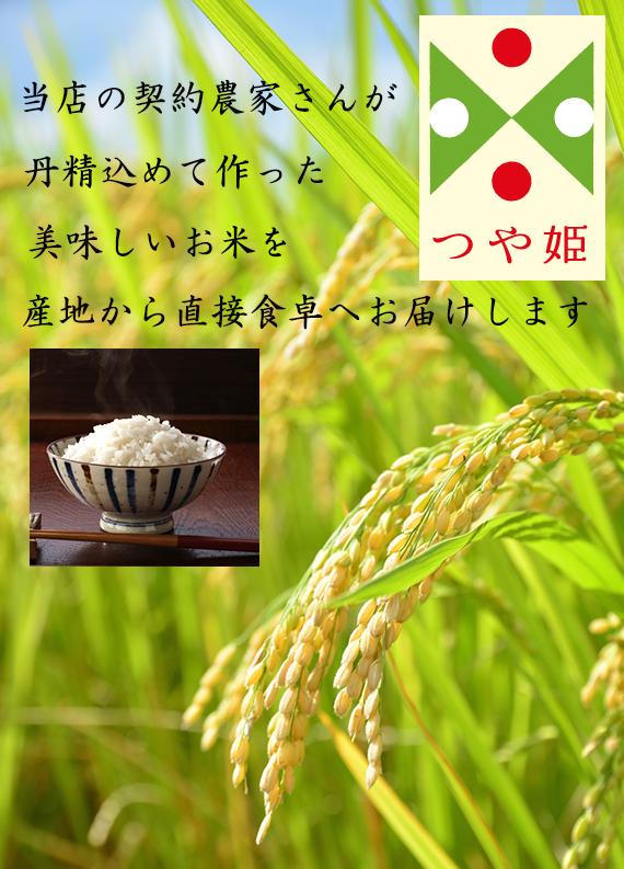 令和五年産新米！山形県産特別栽培米「つや姫」約27Kg【10月下旬～お届け】