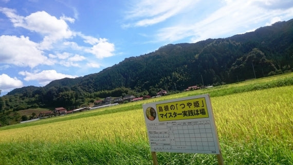 令和5年産 島根県雲南市 プレミアムつや姫『たたら焔米』5kg 独自基準をクリアしプレミアム認定を受けた上質なお米です【米・野菜・惣菜】