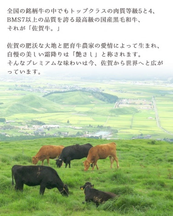 【冷凍】【送料無料】牛肉 A5等級 佐賀牛 黒毛和牛 サーロインステーキ200g×2枚