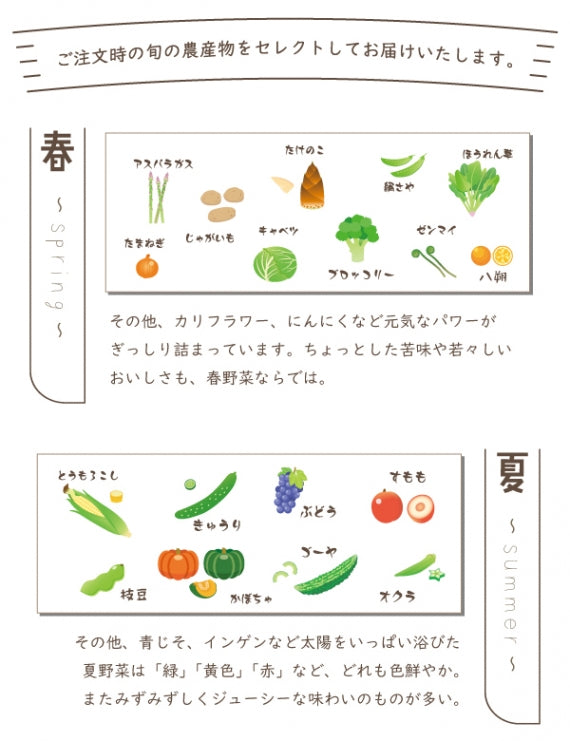 【産地直送！】新鮮野菜と旬の果物たっぷり10種類前後
