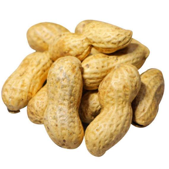 新種Ｑナッツ登場! キューナッツはPeanutを超えるQ-nutな味・千葉県八街産殻付き落花生 Qナッツ（200g）×2袋【Ｑなっつ種】【スイーツ・洋菓子・和菓子】