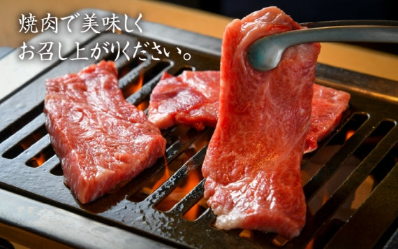 若狭牛モモ焼肉用 （600g）【精肉・肉加工品】【お歳暮】【お中元】【贈り物】
