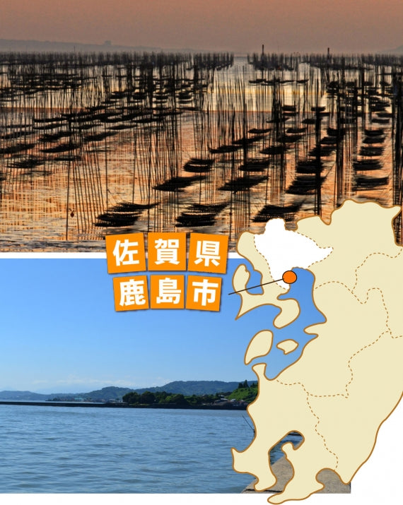 栄養満点！★干し あみえび★佐賀県 有明海産【他の商品にちょい足しで送料無料】