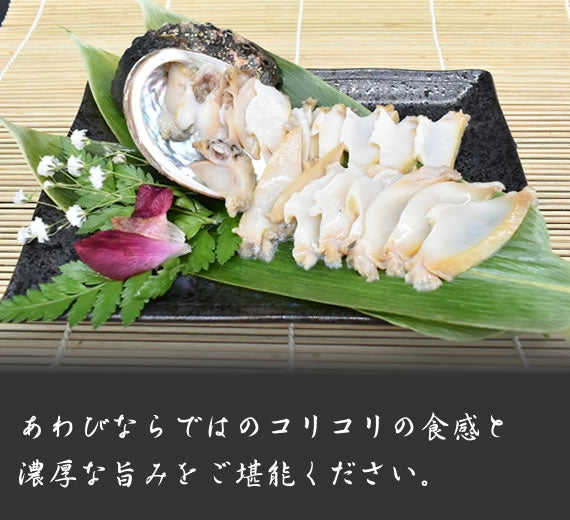 【道産・送料無料】お刺身 ほたて貝柱500g ＆ あわび2個入 セット（ホタテ：3S前後・20～45玉前後・250ｇ×2パック　アワビ：2個(約70g×2））　お刺身 帆立 ホタテ あわび アワビ 鮑 刺身 北海道 道産 利尻礼文産 数量限定・無添加