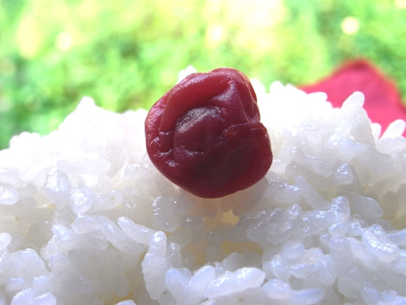 【47で人気】昔ながらの小梅ぼし　（しそ）　1kg