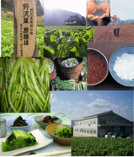 野沢菜づくしA）【送料無料】【米・野菜・惣菜】