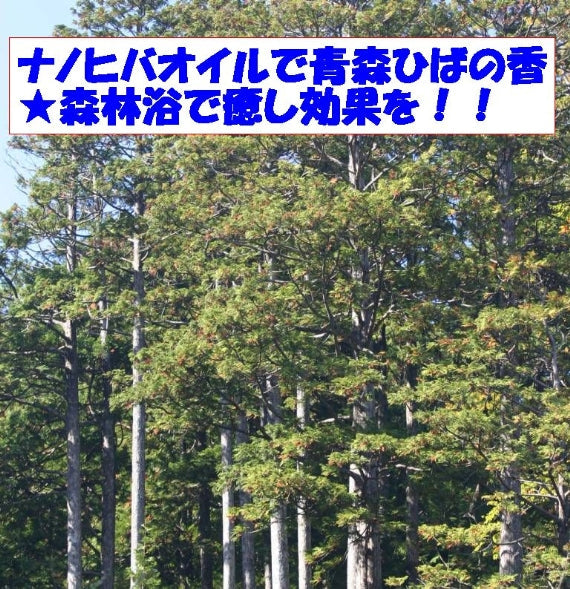 ナノヒバオイル 業務用 1ℓ 青森ひば水溶性 送料無料【2033】