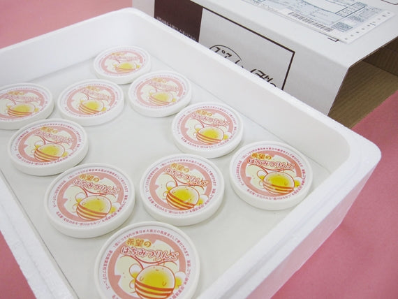 【愛知商業高校プロデュース】希望のはちみつりんごアイス10個セット【アイスクリーム・乳製品】
