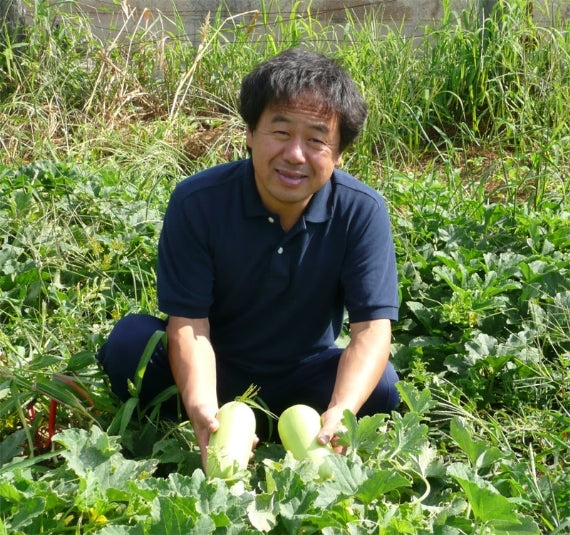 白瓜の粕漬若漬かり