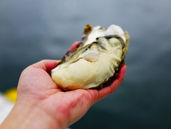 【気仙沼完熟牡蠣のオイスターソース 160g】　和食・洋食どちらとも相性のいい、無添加の万能調味料！