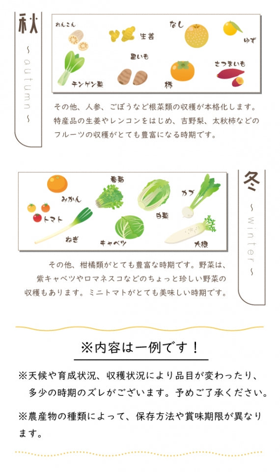 【産地直送！】新鮮野菜と旬の果物たっぷり10種類前後