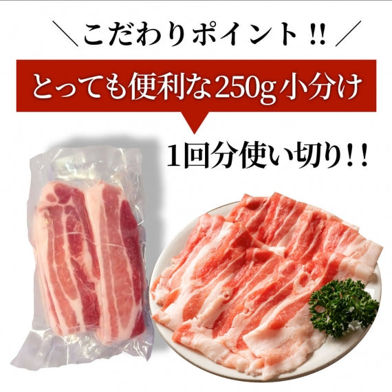 豚バラ肉 1kg スライス 豚肉 250g×4パック メガ盛り 豚肉 バーベキュー 焼肉 スライス バラ 小分け 便利