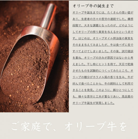 牛肉 肉 プレゼント 特選 オリーブ牛 A4,5等級 とろける 黒毛和牛 ロース 焼肉 500ｇ（250g×2） お歳暮 ギフト 食品 プレゼント 女性 男性 お祝い 新生活