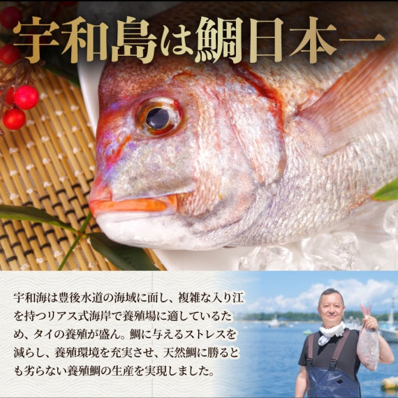 魚 鯛 しゃぶしゃぶセット 2人前 鯛しゃぶ たい 宇和島 愛媛 宇和海 讃岐うどん 鍋 お歳暮 ギフト 食品 プレゼント 女性 男性 お祝い 新生活