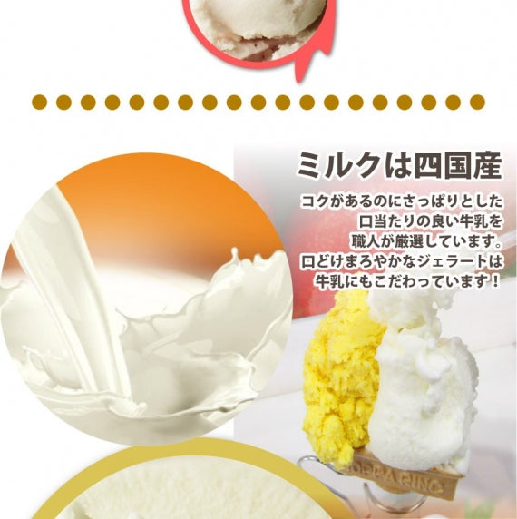 生 ジェラート バナナ 選べる ottimo オッティモ スイーツ アイスクリーム アイス お歳暮 ギフト 食品 プレゼント 女性 男性 お祝い 新生活