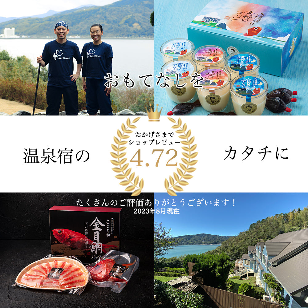 【 お買い得2個セット 】 金目鯛入り 万能調味料 だし塩 レシピ 主婦の味方 お吸い物 チャーハン うどんのつゆ  鶏肉グリルの下味 白身魚の下味 おにぎり お鍋スープ 焼き飯 焼きそば オイルパスタ 卵かけご飯 お茶漬け 天ぷら プレゼント 伊豆土産 送料無料 送料込 家庭料理に最適 調味料 塩 お試し 金目鯛 だし塩 うま味調味料 宿の女将のまかないレシピ付