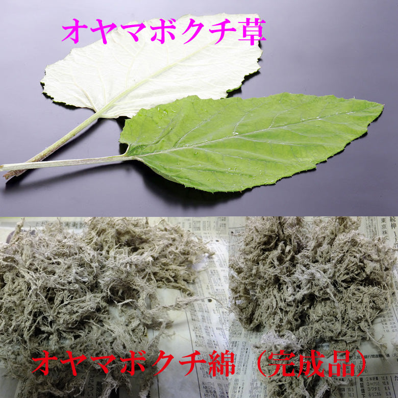 長野県産　【限定品】オヤマボクチ草　葉綿　25g　　　