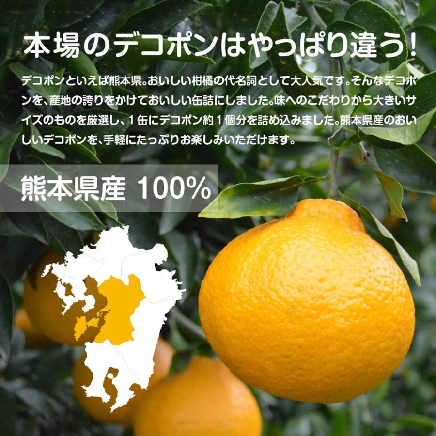 くまもとの果樹園【デコポン缶詰セット】【300g缶詰×10缶入】