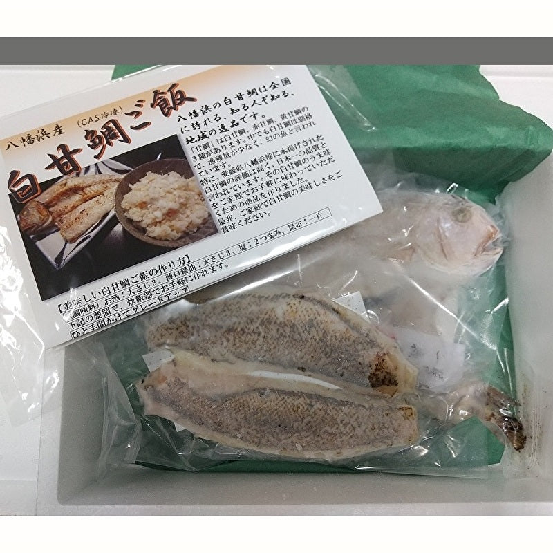 超高級魚　白甘鯛の一夜干しと炊き込みご飯用アラと切り身のセット【えひめシーフードサービス株式会社】