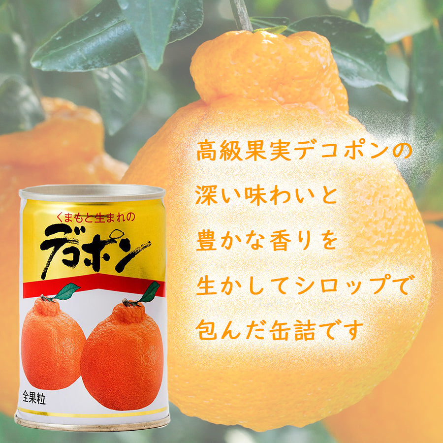 くまもとの果樹園【デコポン缶詰セット】【300g缶詰×10缶入】