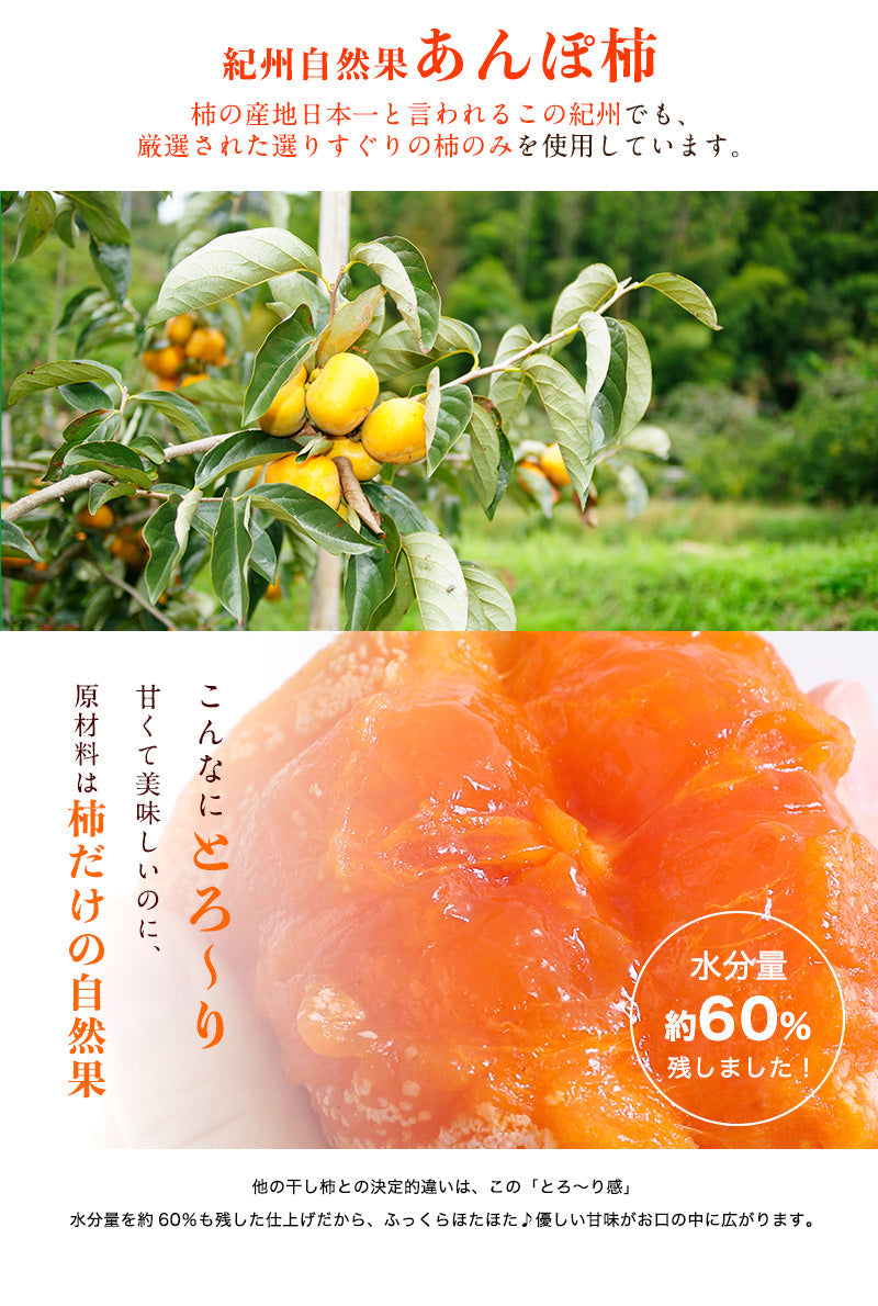完全無添加 紀州自然菓「あんぽ柿」12個入【送料無料】